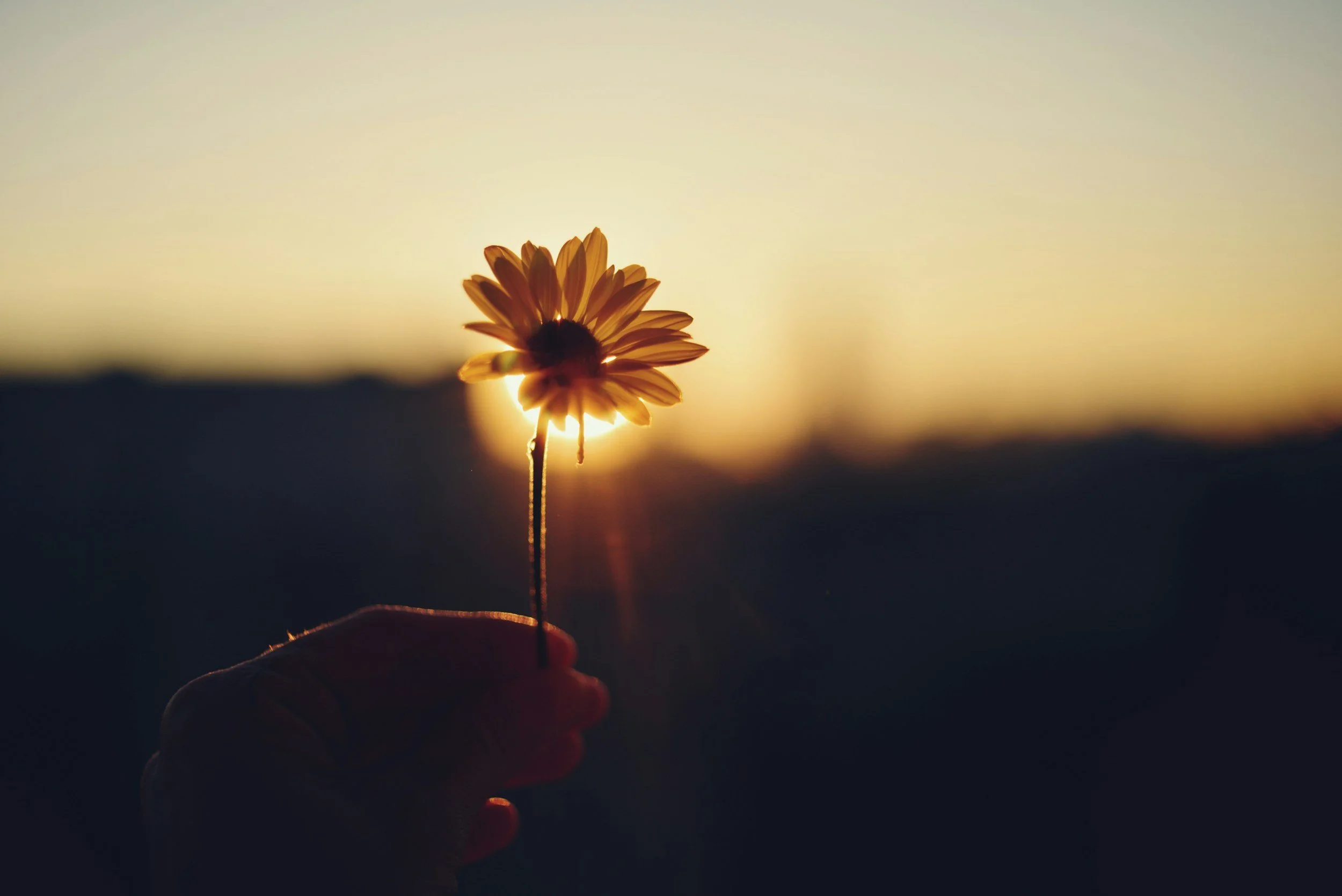 unsplash-image-vXikP7QLNvk.jpg