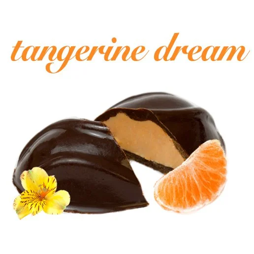 2026 Tangerine Dream Egg Square.jpg