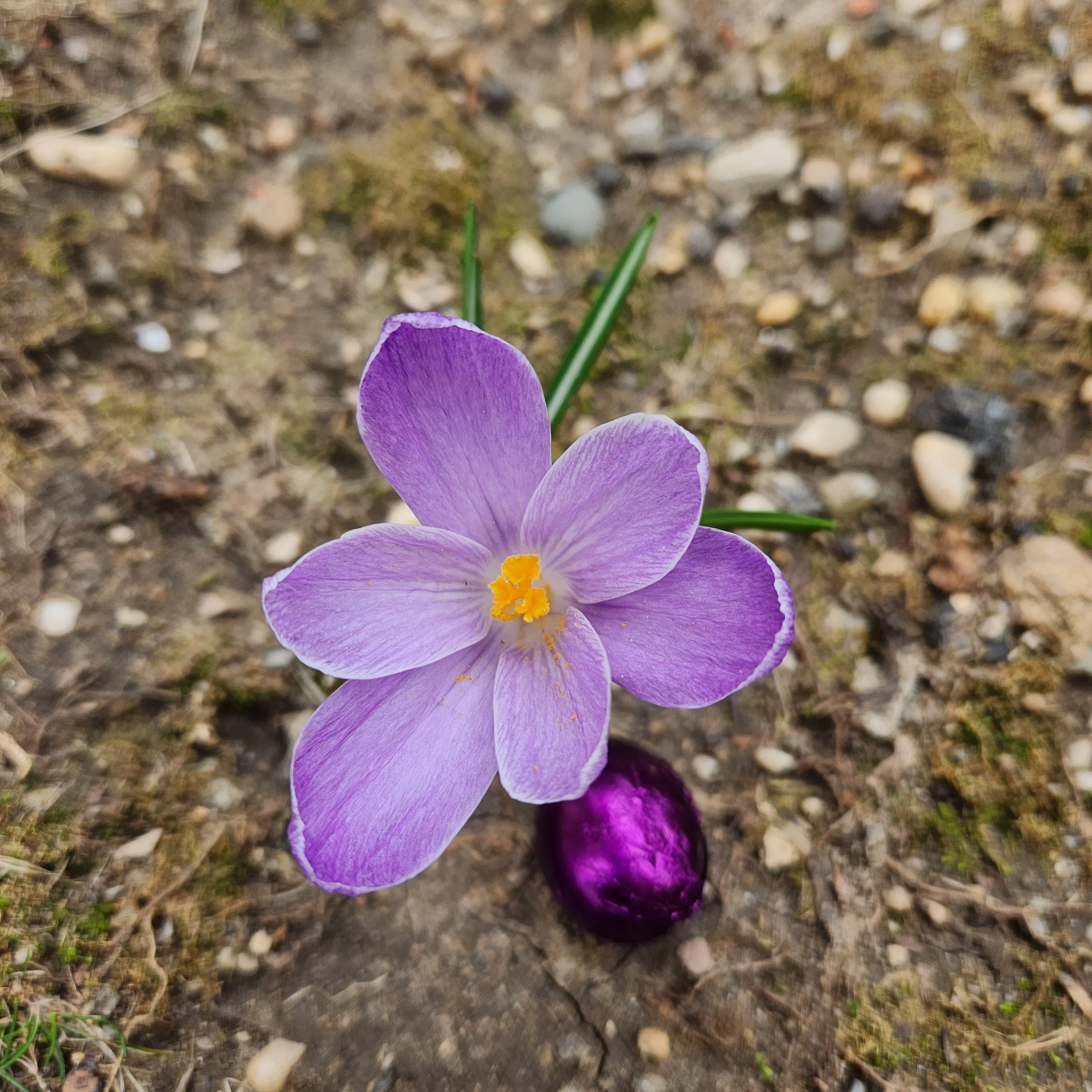 2025-03-29 15.24.23.jpg