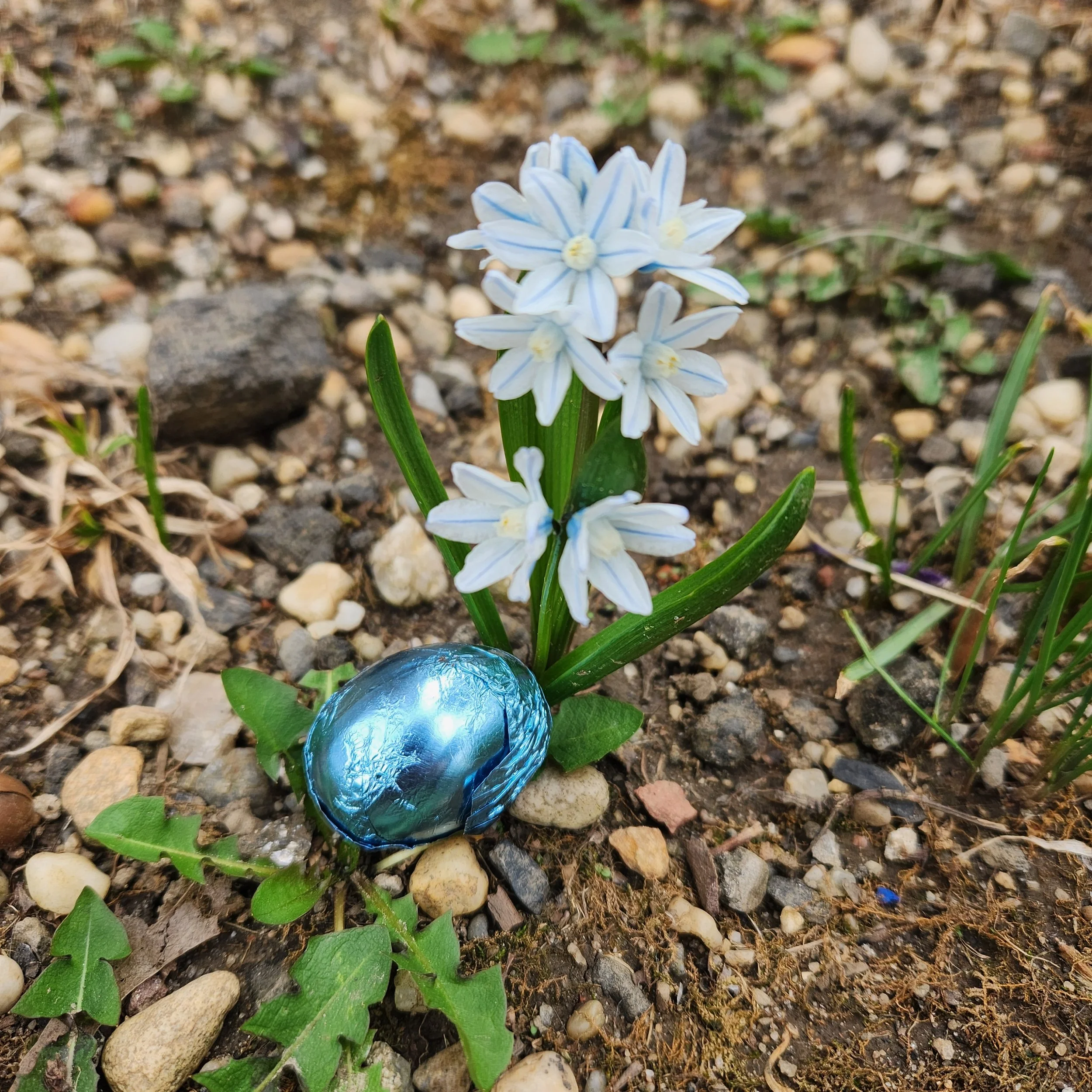 2025-03-29 15.24.05.jpg