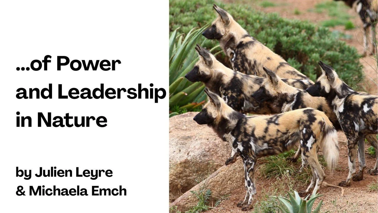 ... of Power and Leadership in Nature