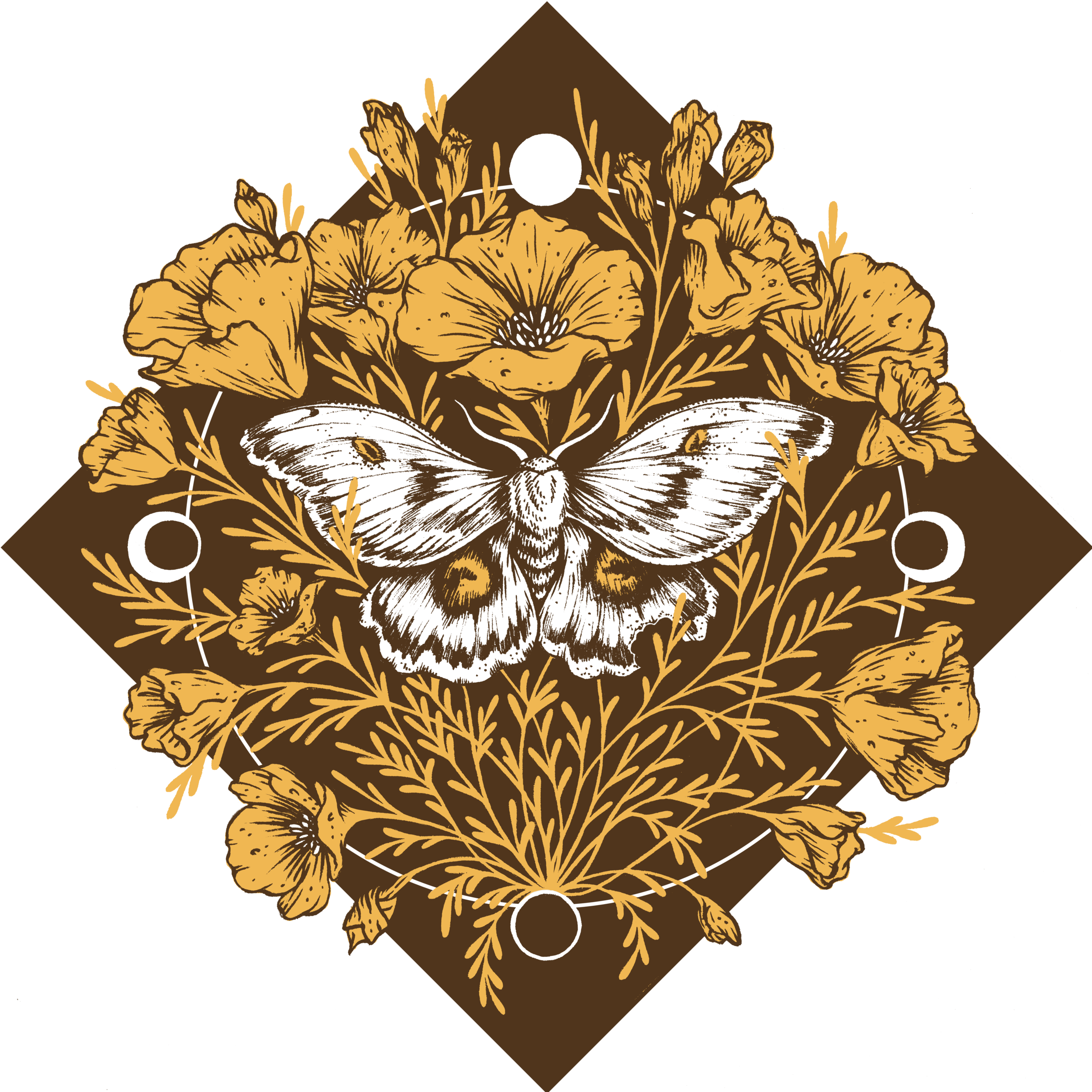 moth poppies_mb_noback_sm.png