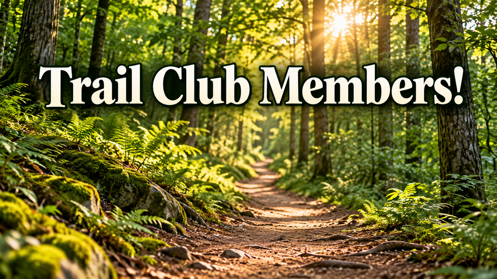 AALM Trails Clearing