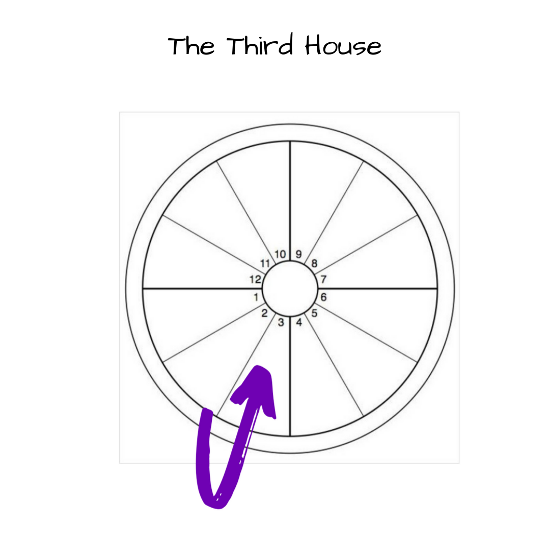 The Third House-4.png