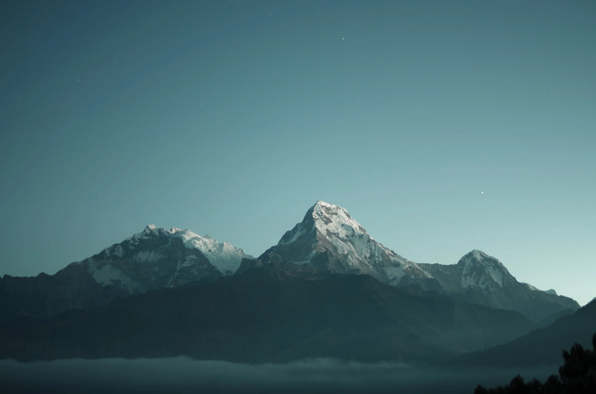 Alpine Therapy Services