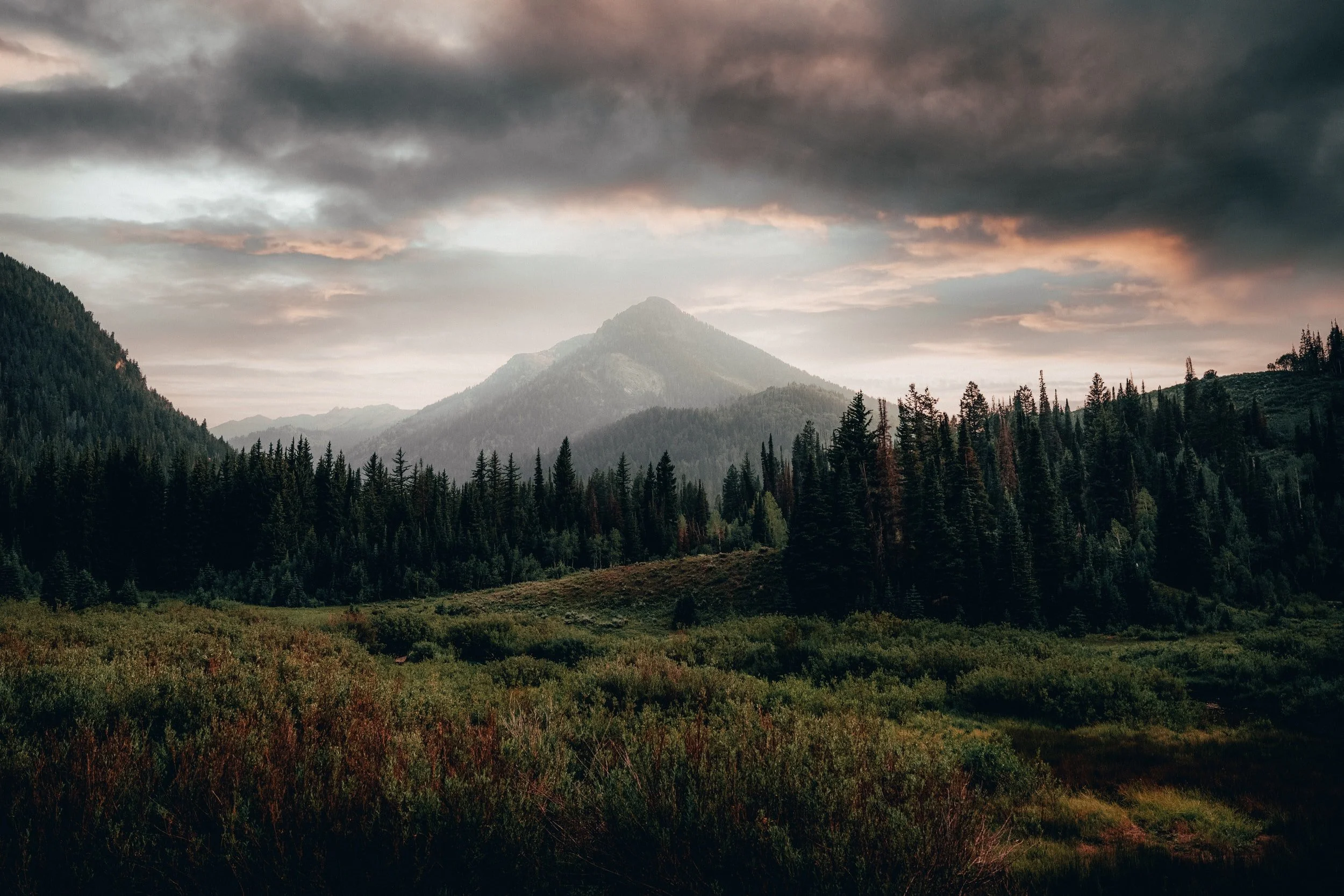 unsplash-image-FVLtSMdwEe8.jpg