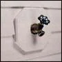 accoct.jpg