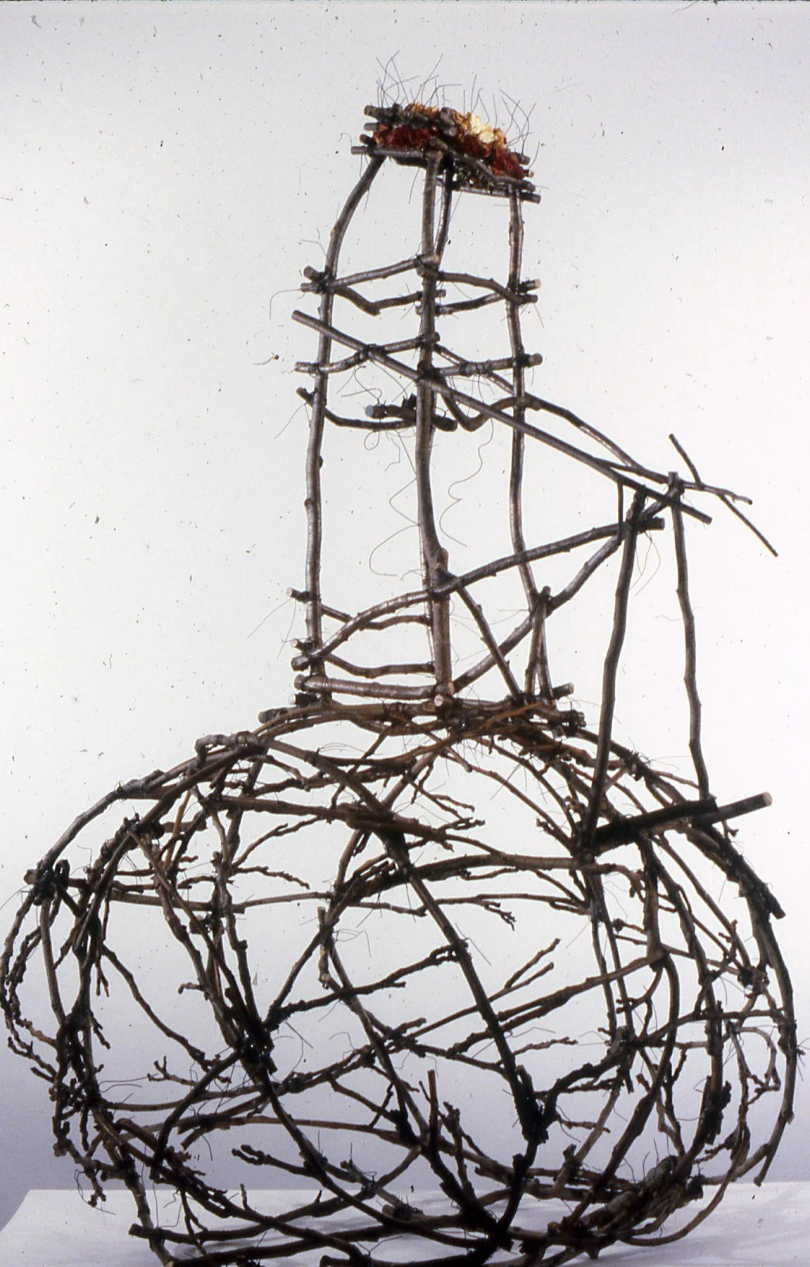 ROSIE SITTING ON A ROCK