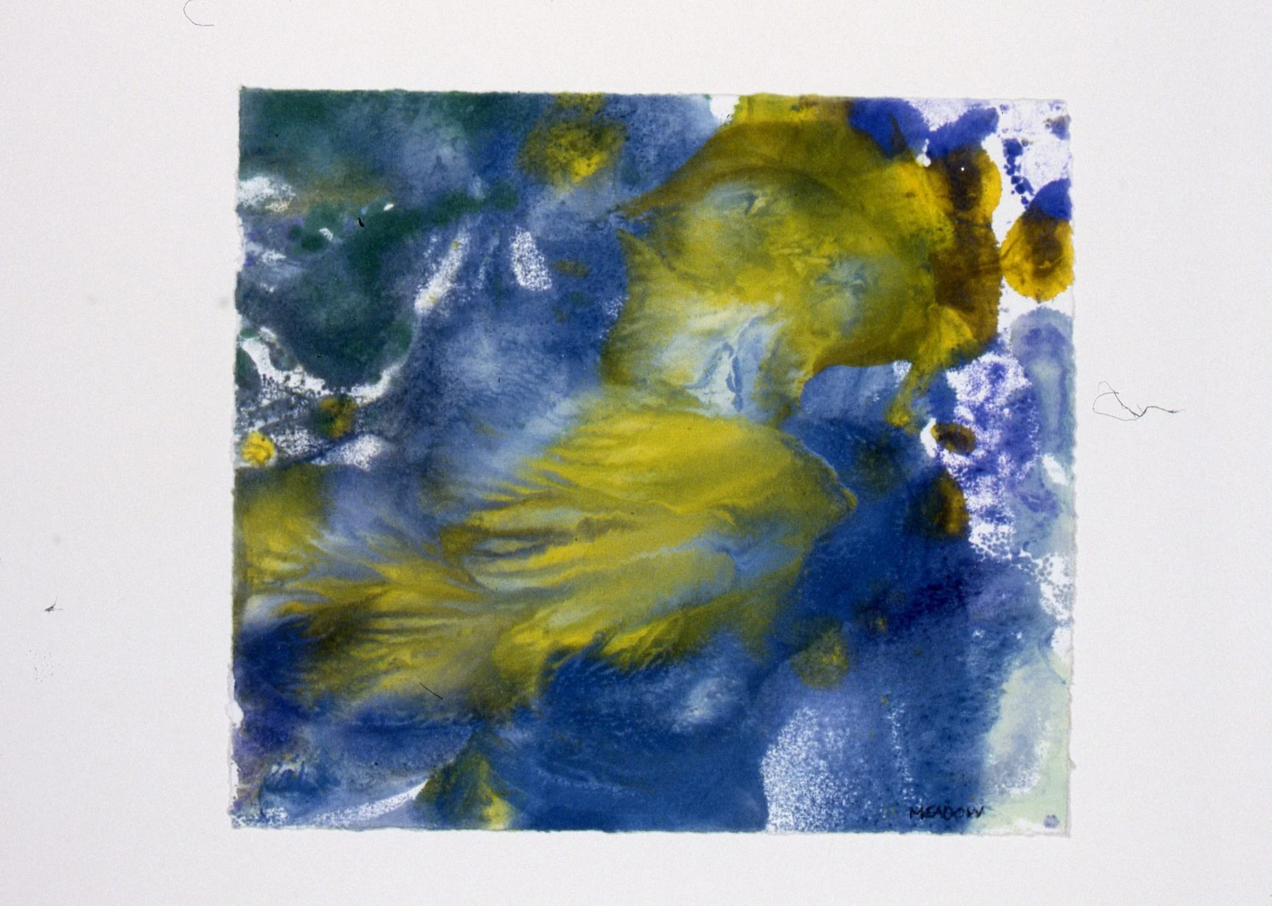 2 Fish 6.75x 8'' .jpg