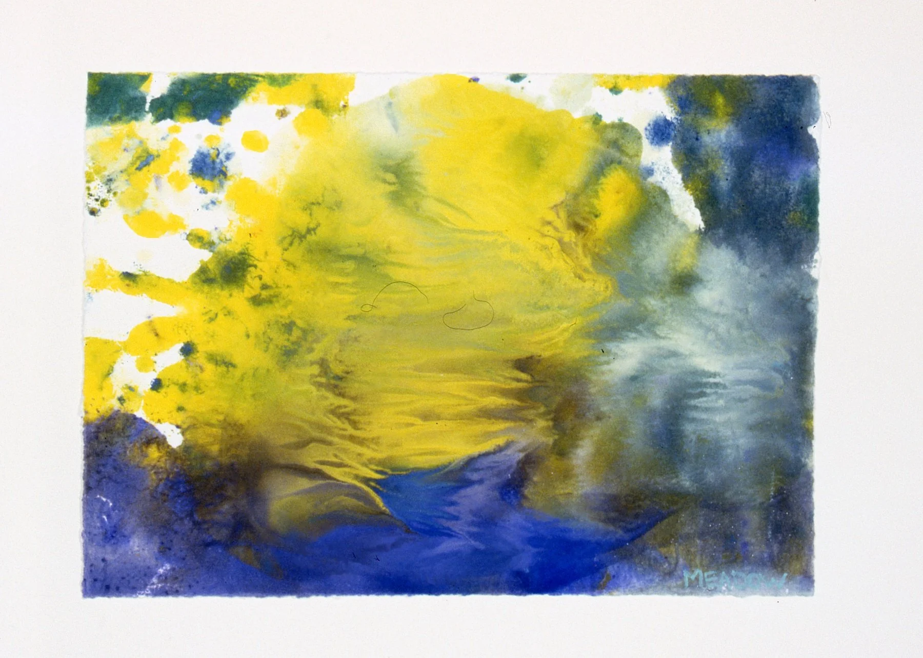 Is It Green or Is It Yellow 5.5x 8''.jpg