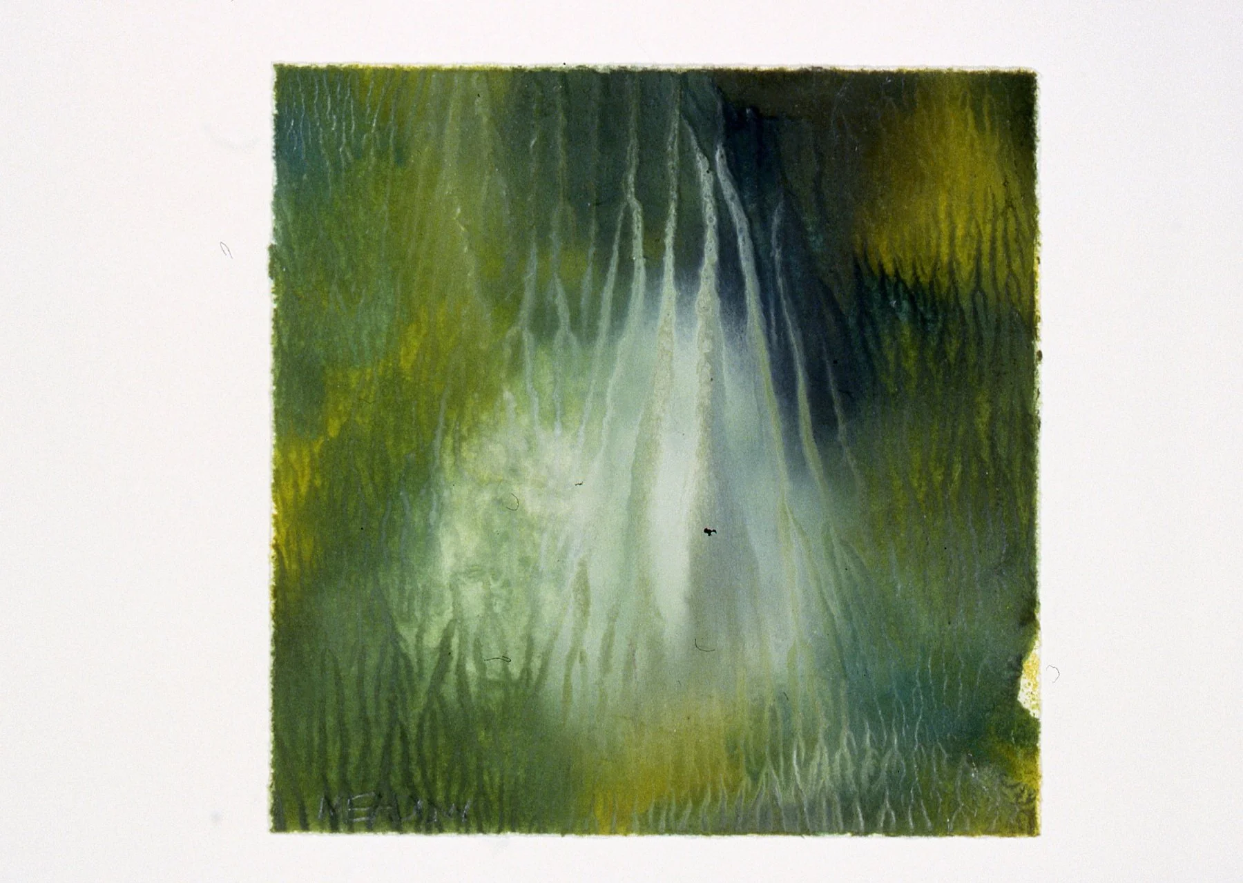 Subtle Bloom 6.25x6.25'' .jpg