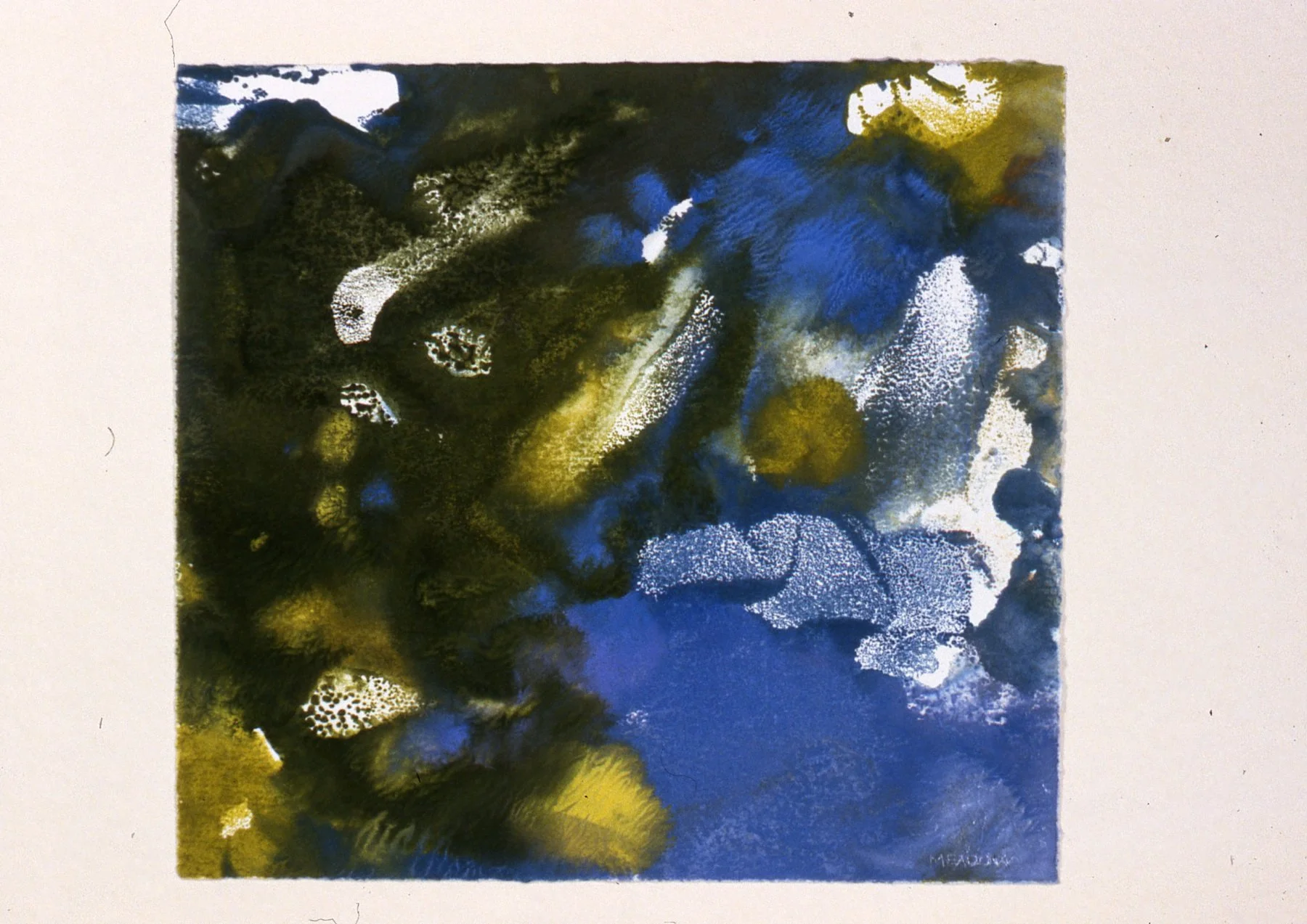 Under Water Scene 10.25x12''.jpg