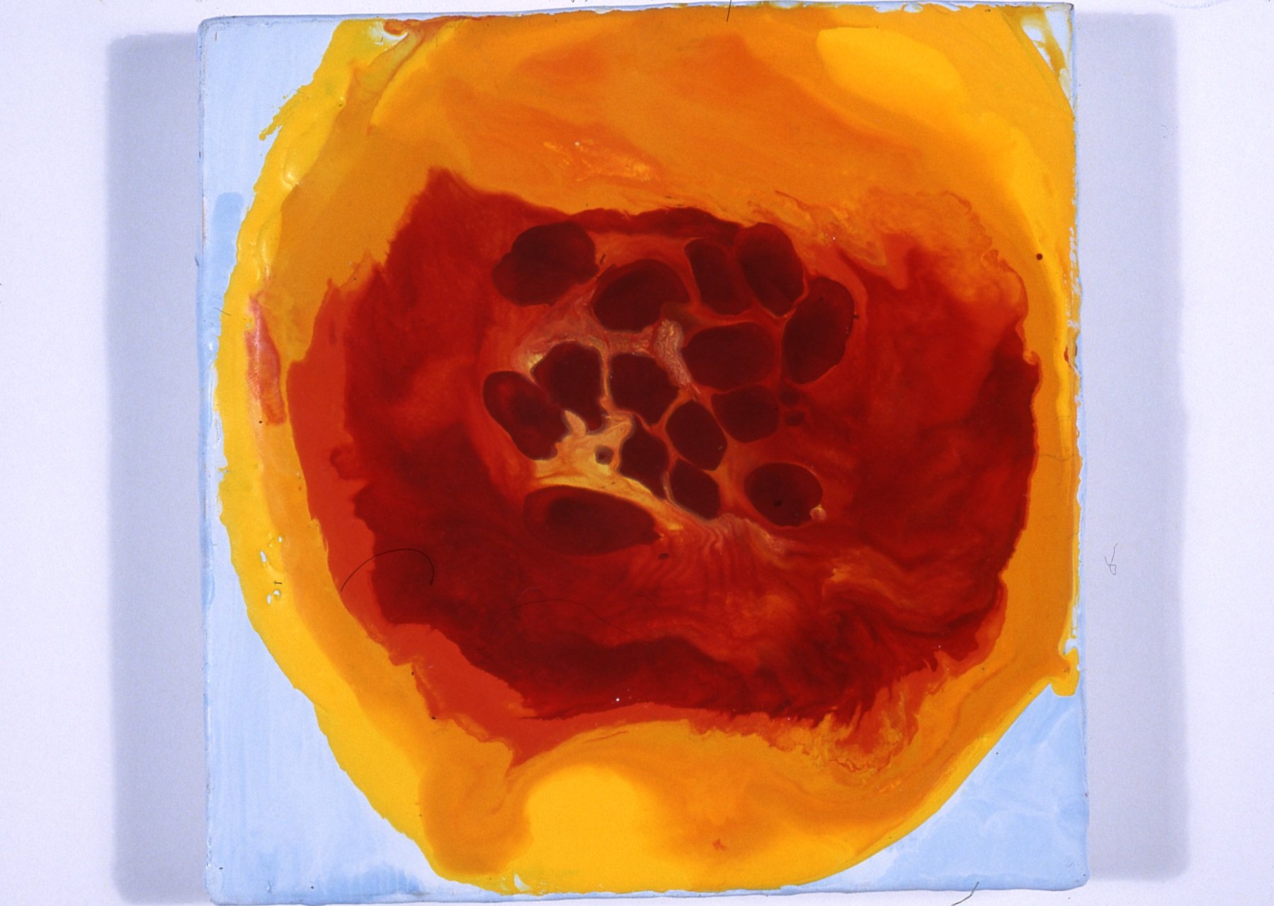 Poppy 5.5x5.5x1'' .jpg