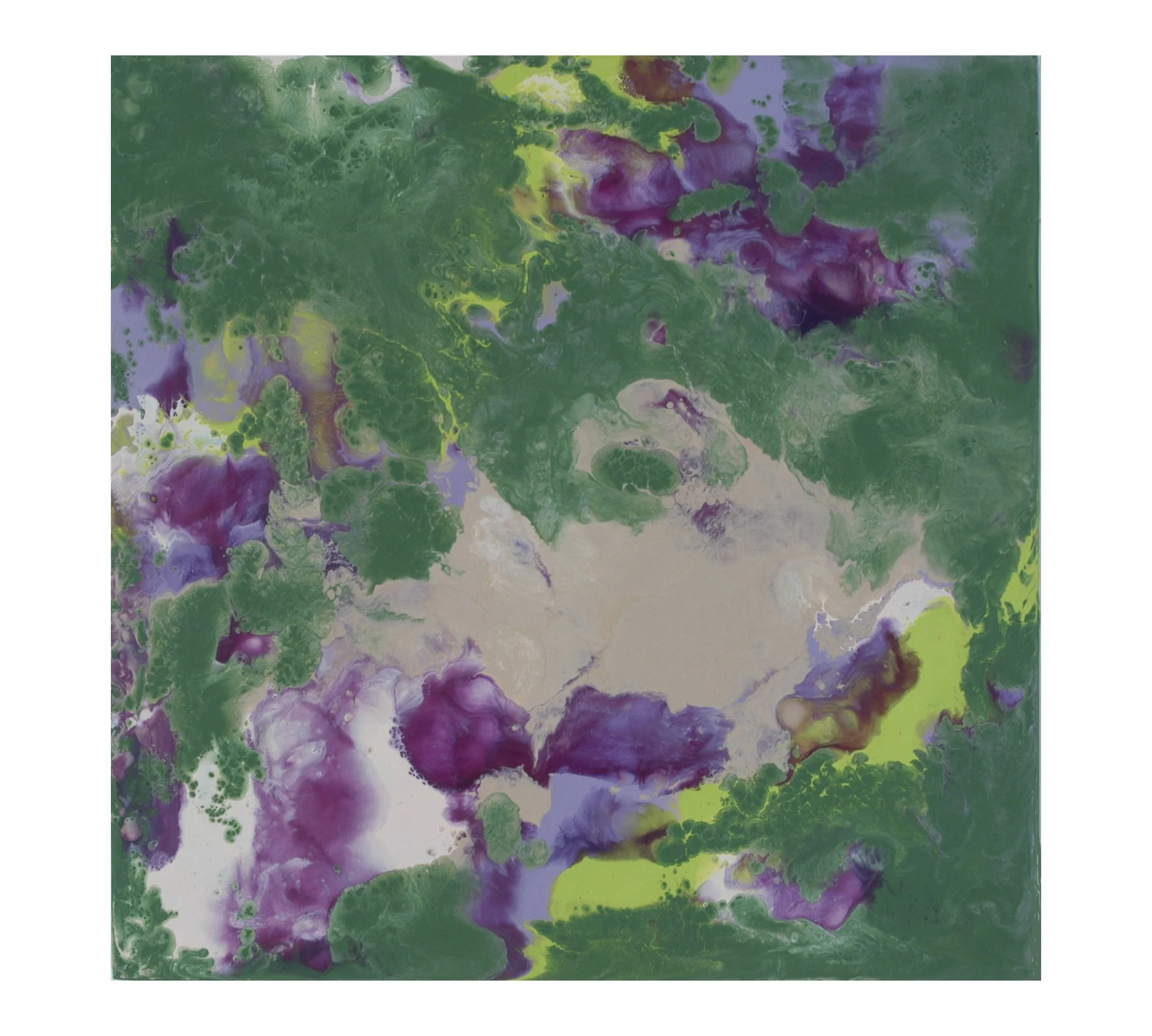 Dove in the Violet Patch 12x12x1'' .JPG