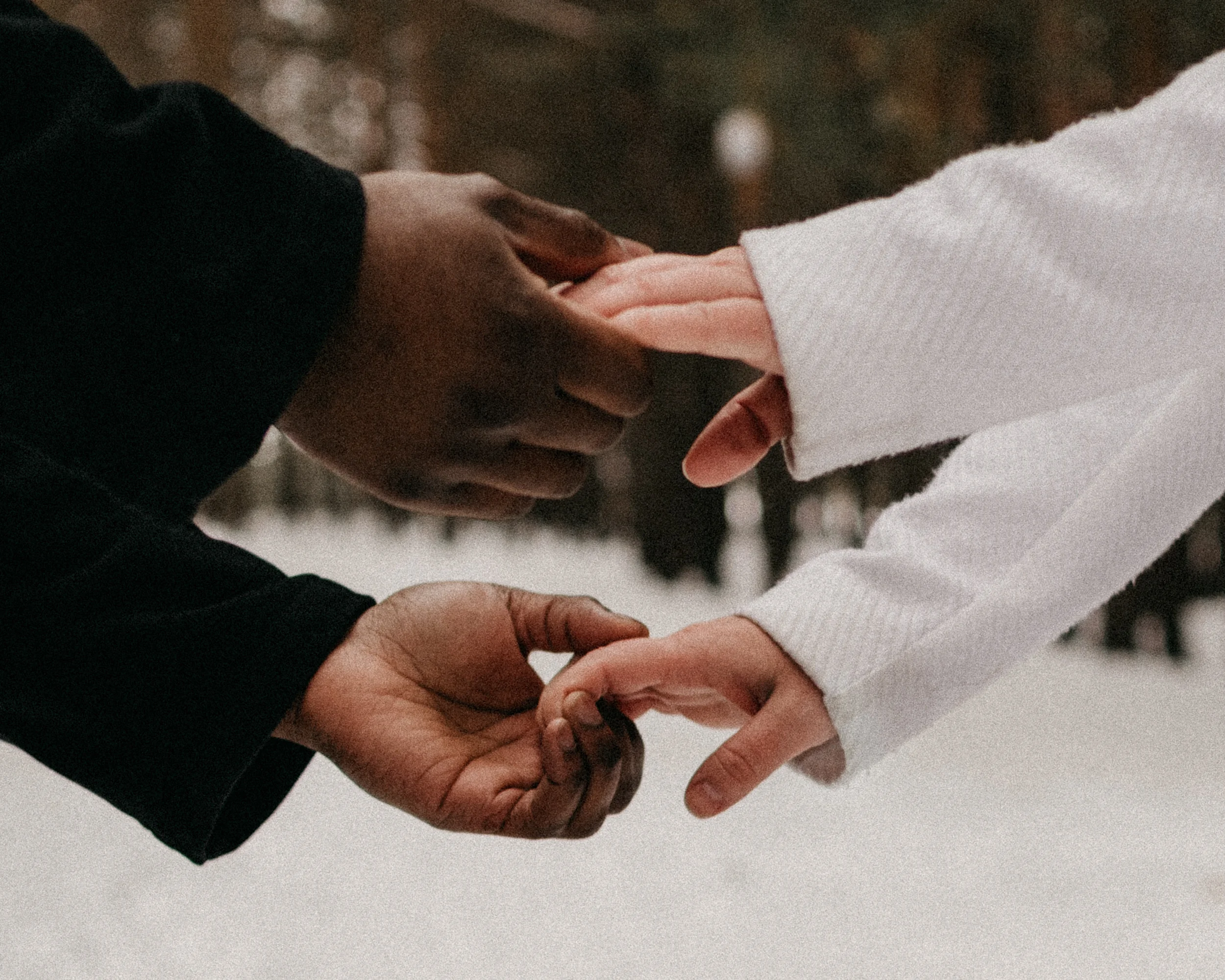 DSC_8347.jpg