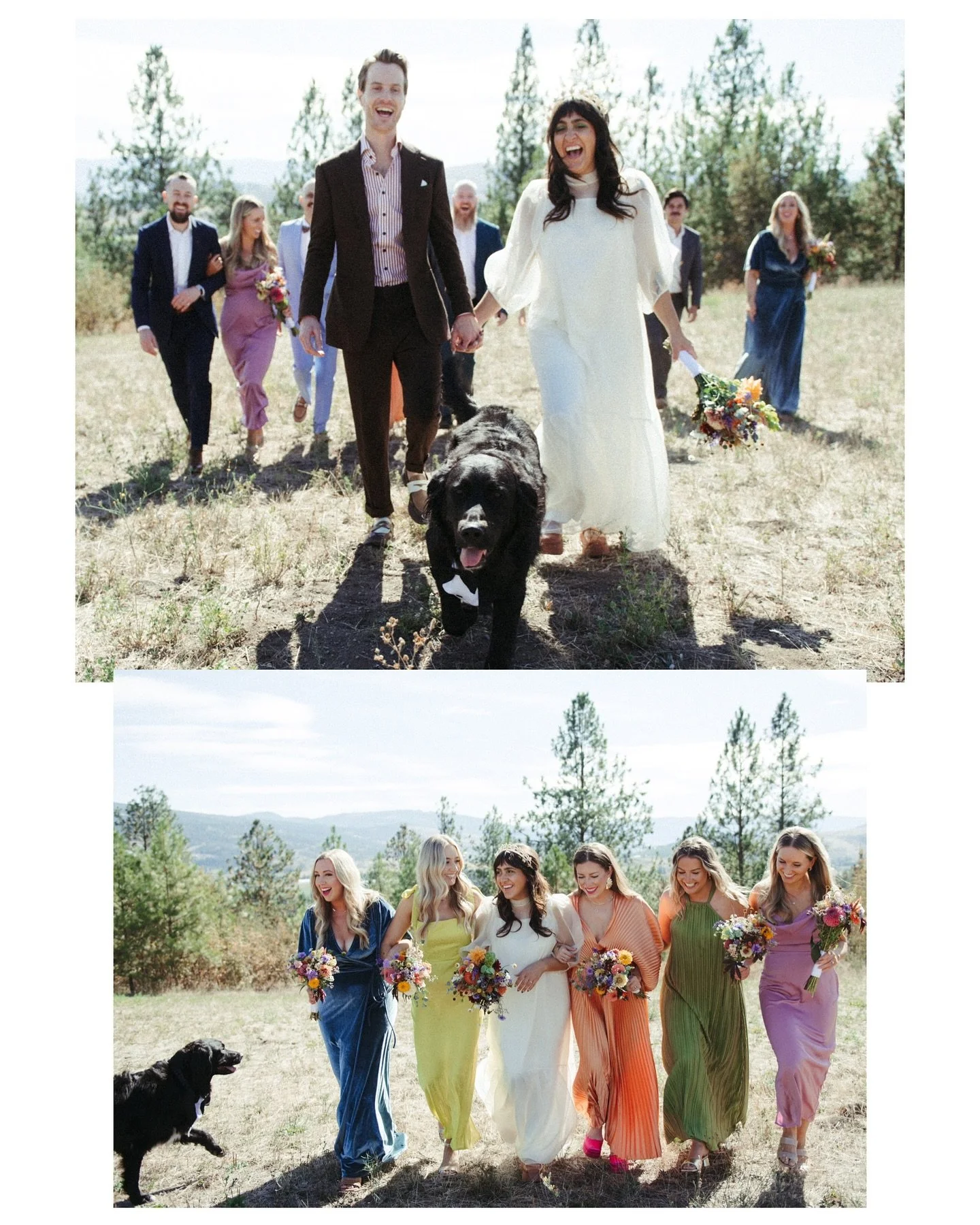 Pops of colour in the bridal party &gt;&gt; 🎉