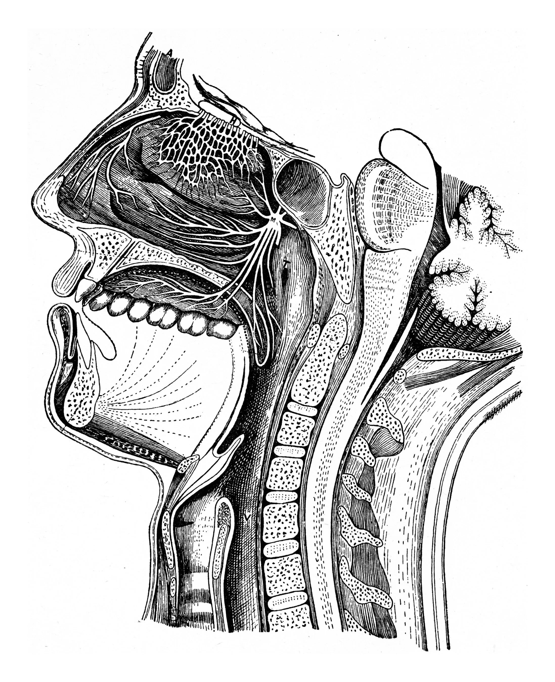 The Powerful Connection Between Memory and Scent