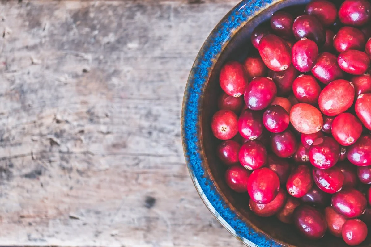 Cranberry Harvest