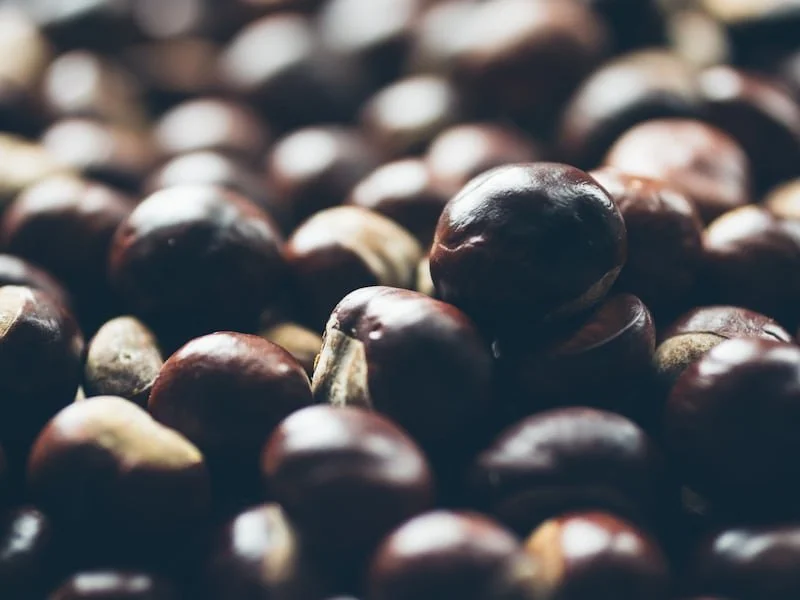 Roasted Chestnuts