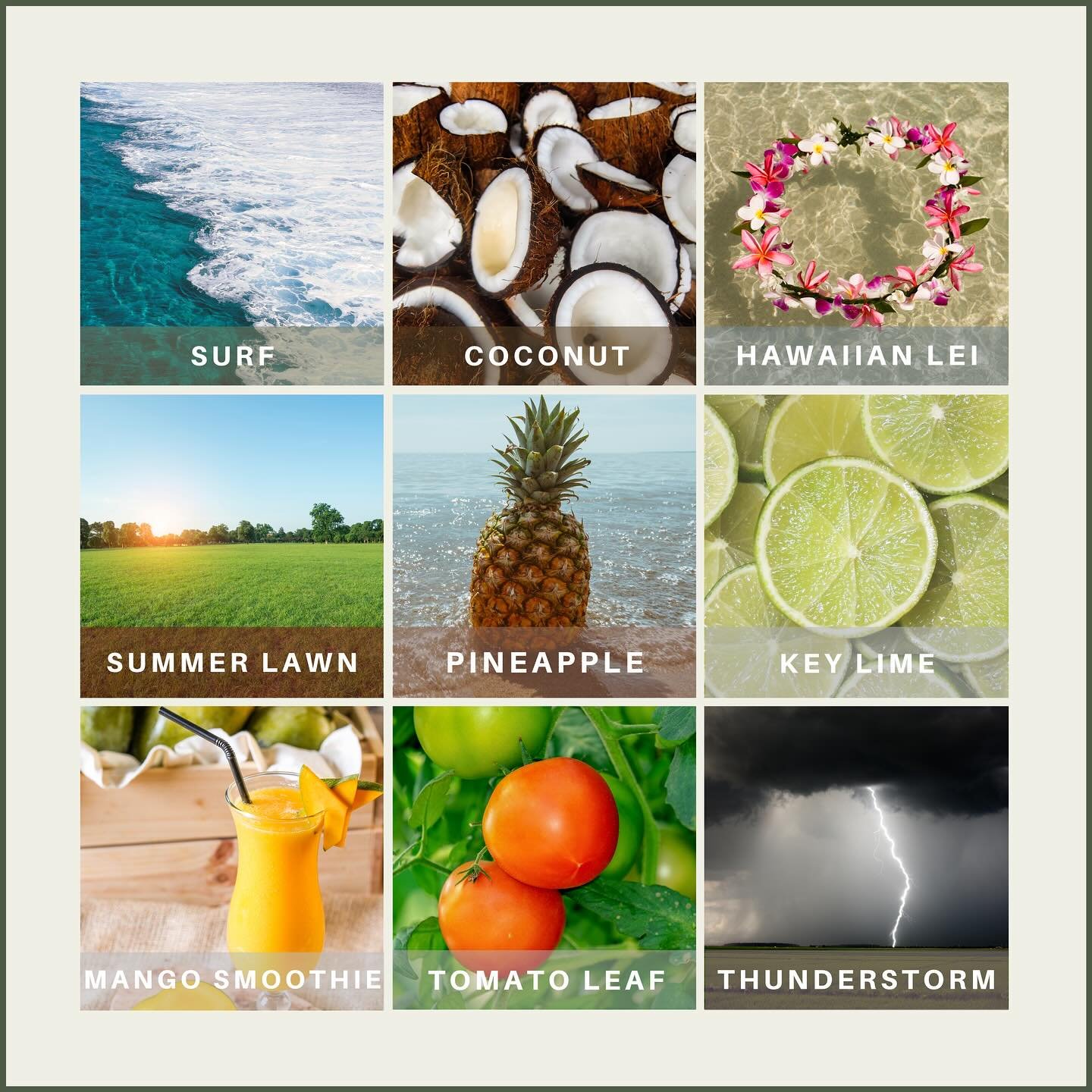 Come in, get creative, and blend your perfect summer vibe. Whether you&rsquo;re dreaming of tropical shores or backyard BBQs, there&rsquo;s a scent (or three!) waiting for you.