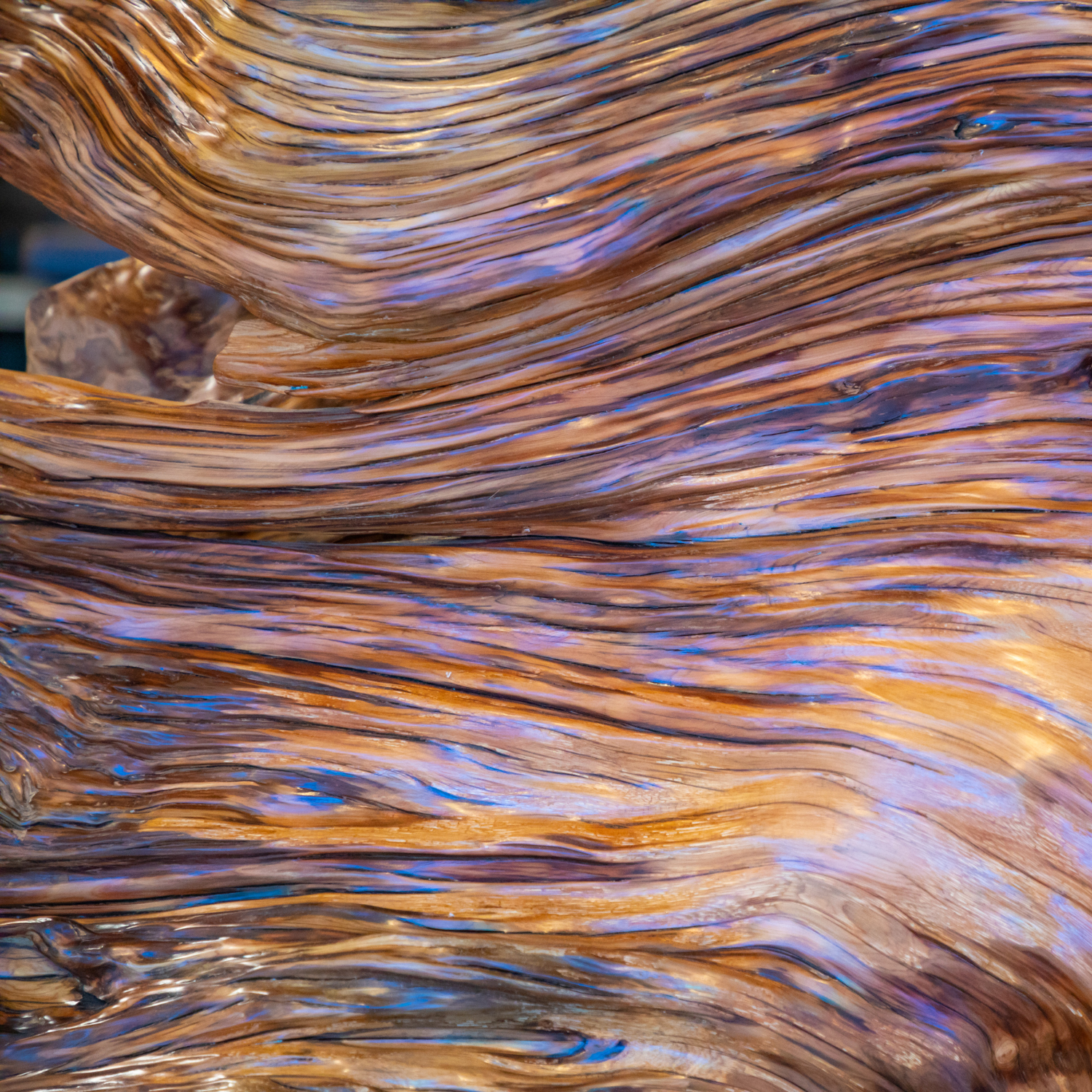 Untitled design (37).png