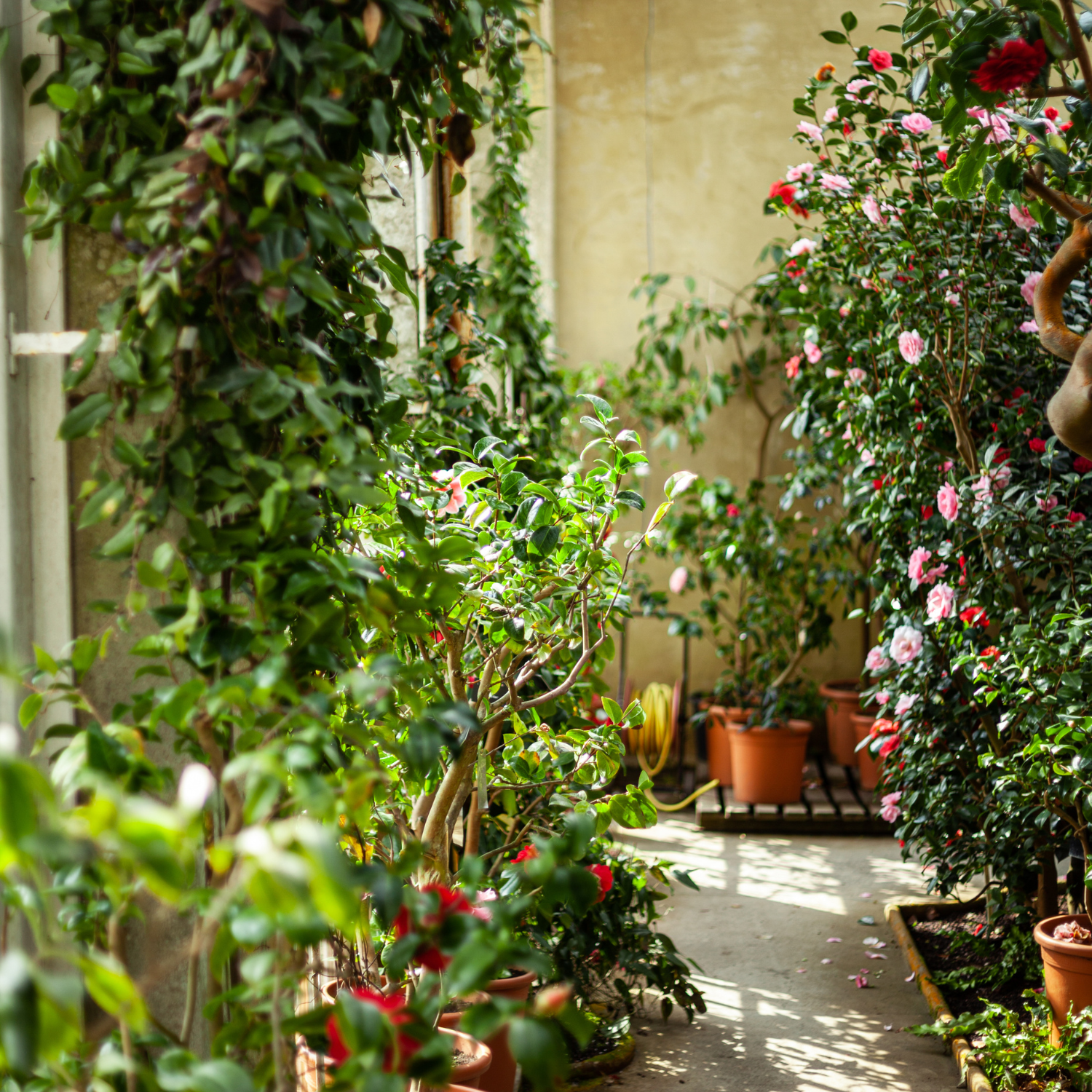 Untitled design (21).png