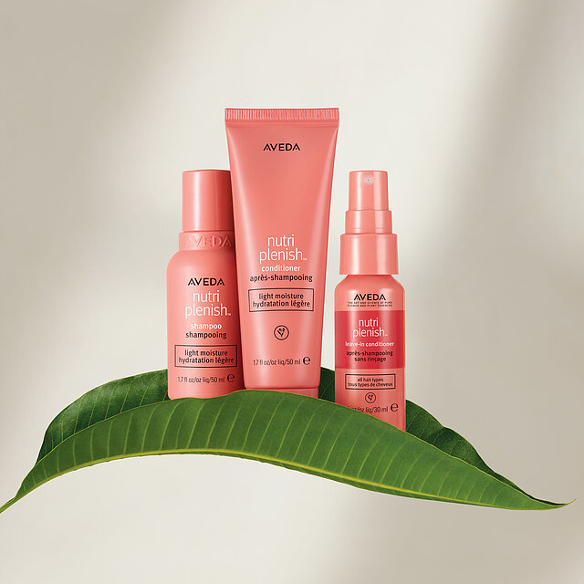 Nutriplenish Travel Set $40.00