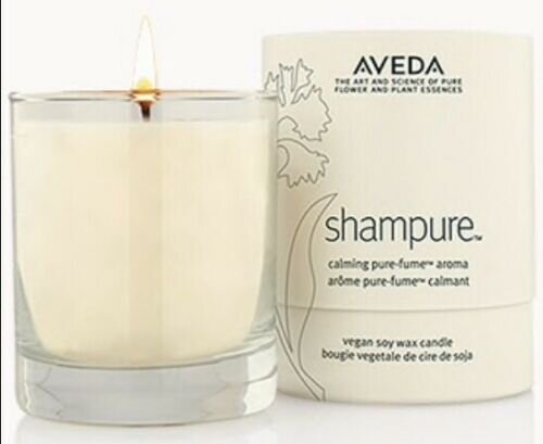 Shampure Soy Wax Candle $61.00