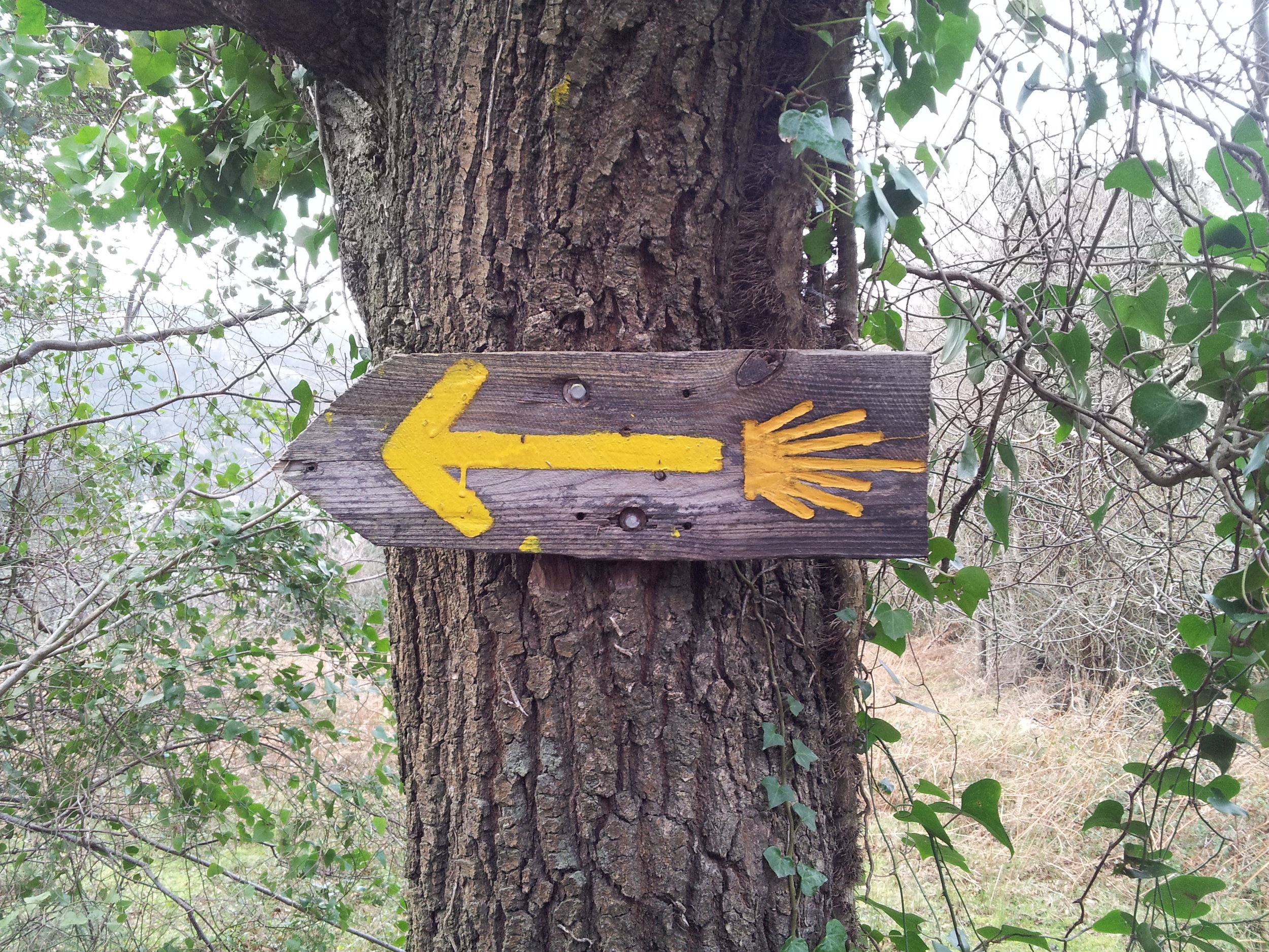 The Leadership Pilgrimage - 8 Leadership Lessons from the Camino de Santiago