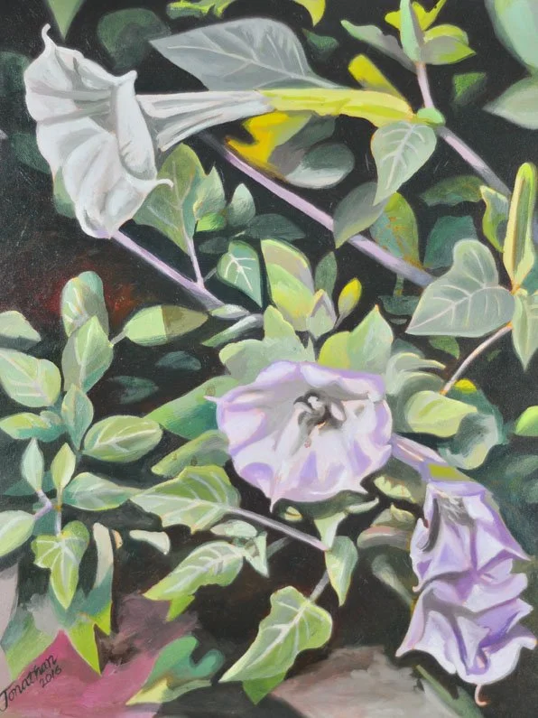 DATURA, 2016