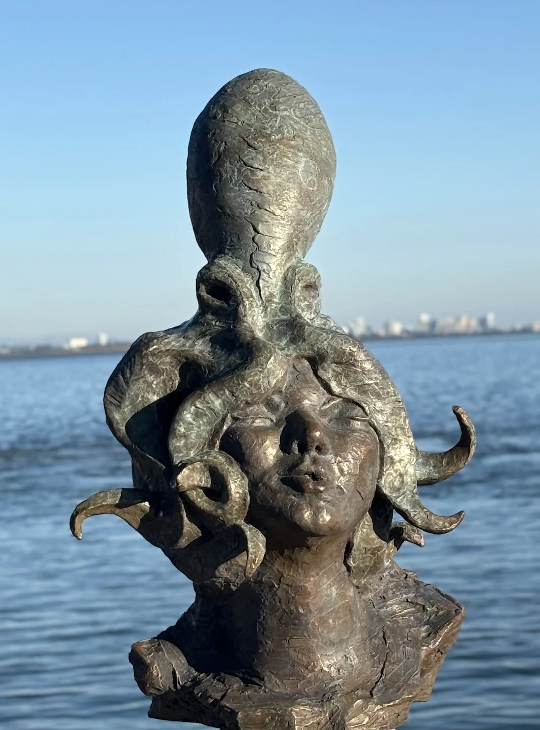 OCTOPUS DREAMS