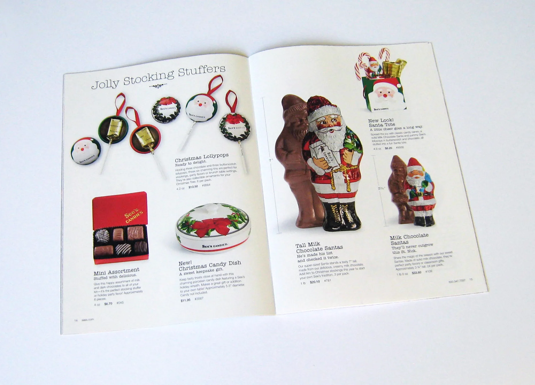 sees-catalog-4.jpg