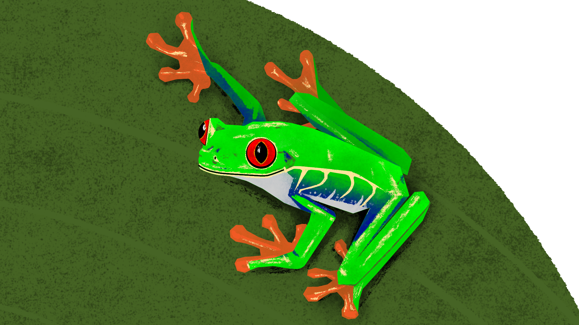frog