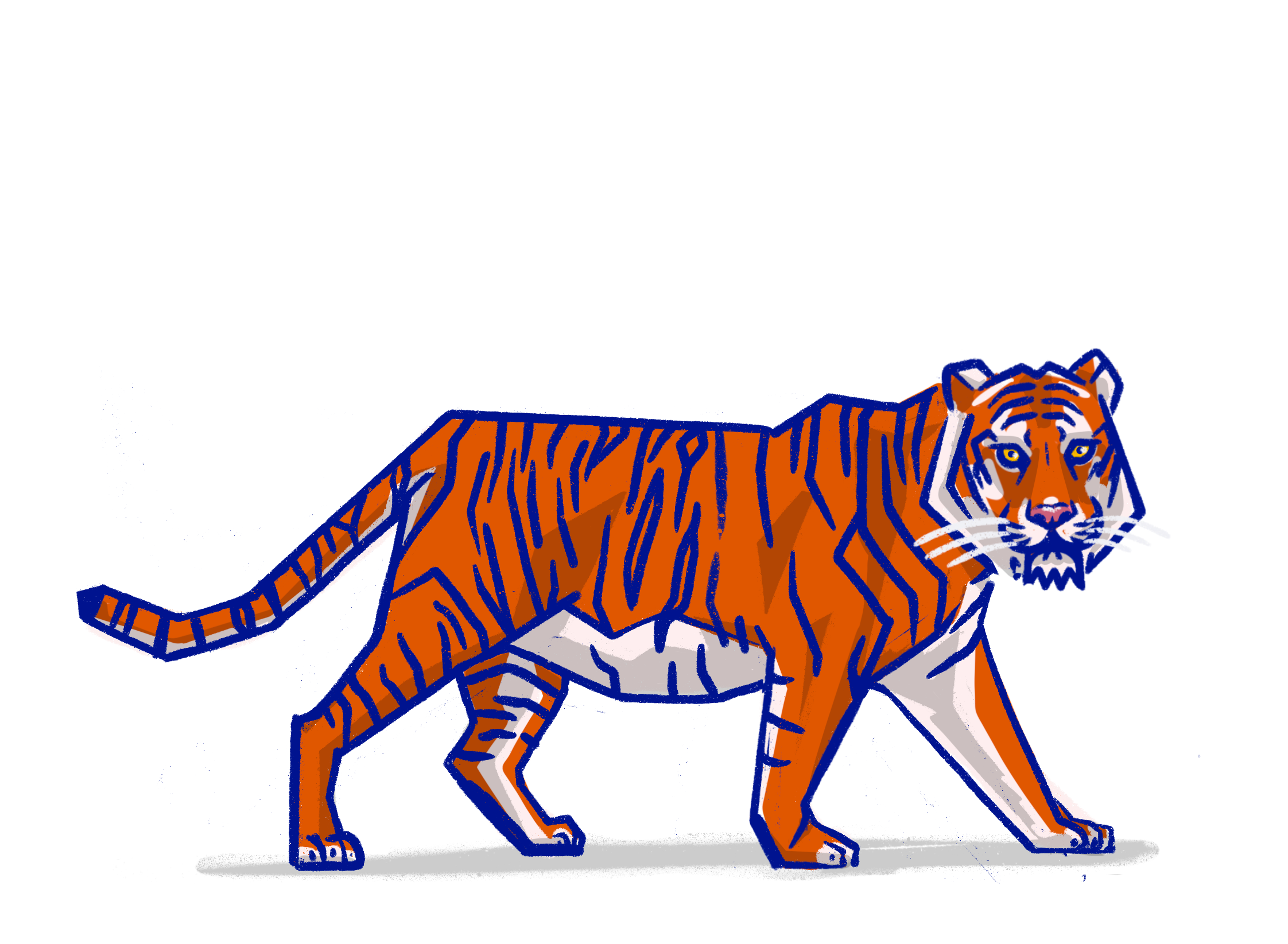 tiger