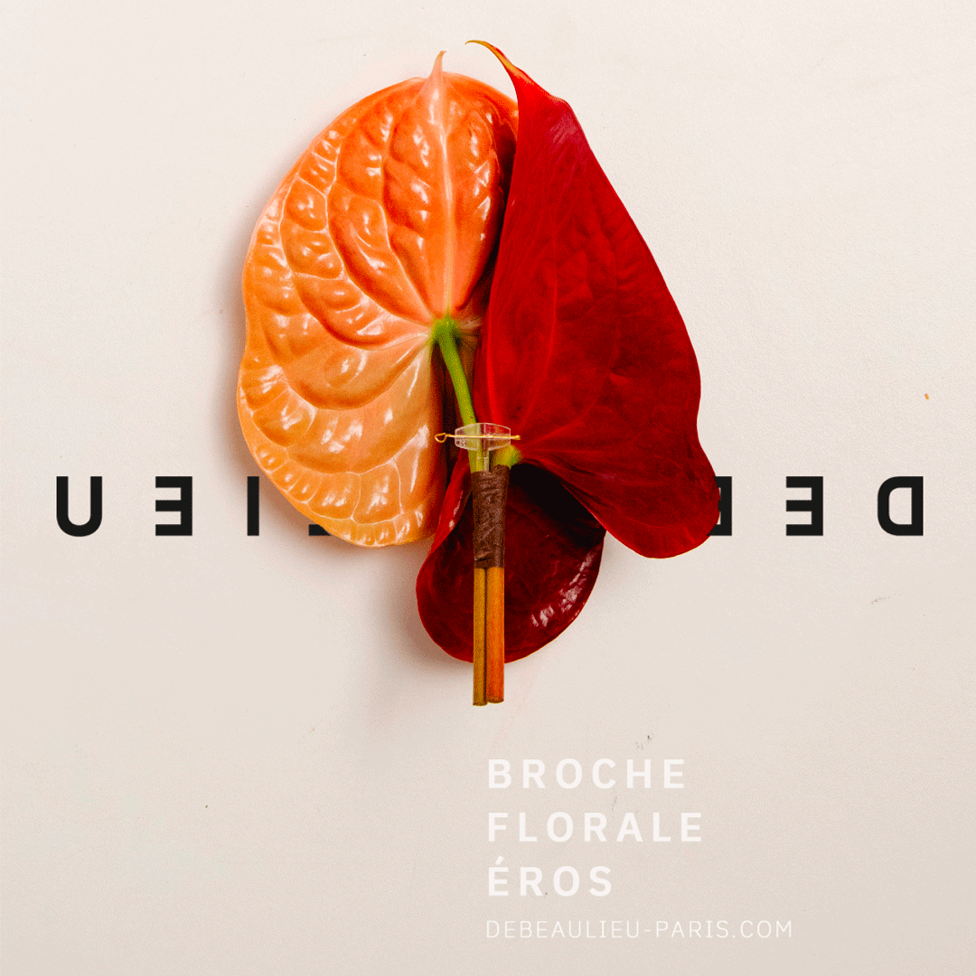 DEBEAULIEU edito février GJstudio