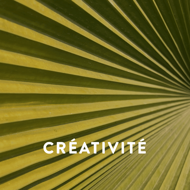 MULTIPLIER LA CRÉATIVITÉ