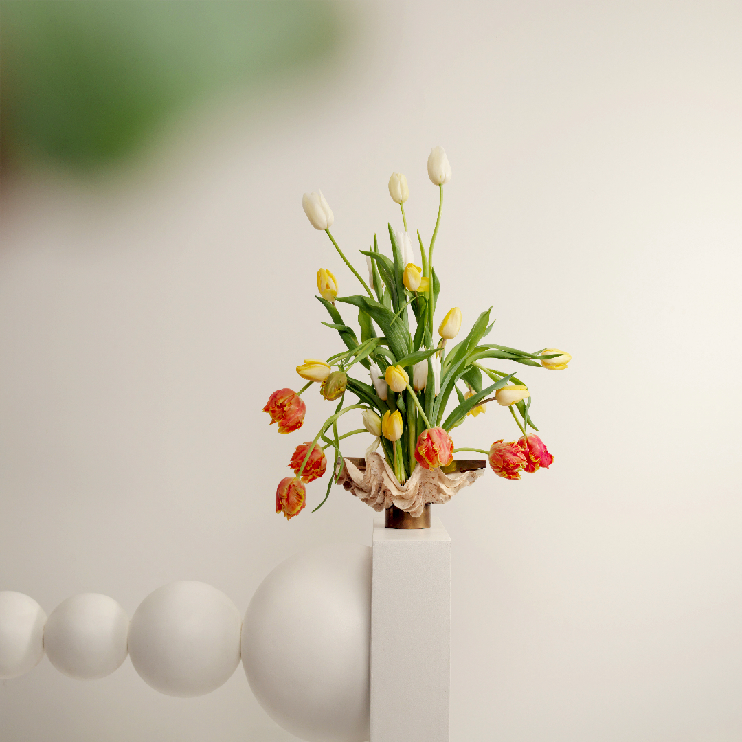 DEBEAULIEU edito janvier GJstudio