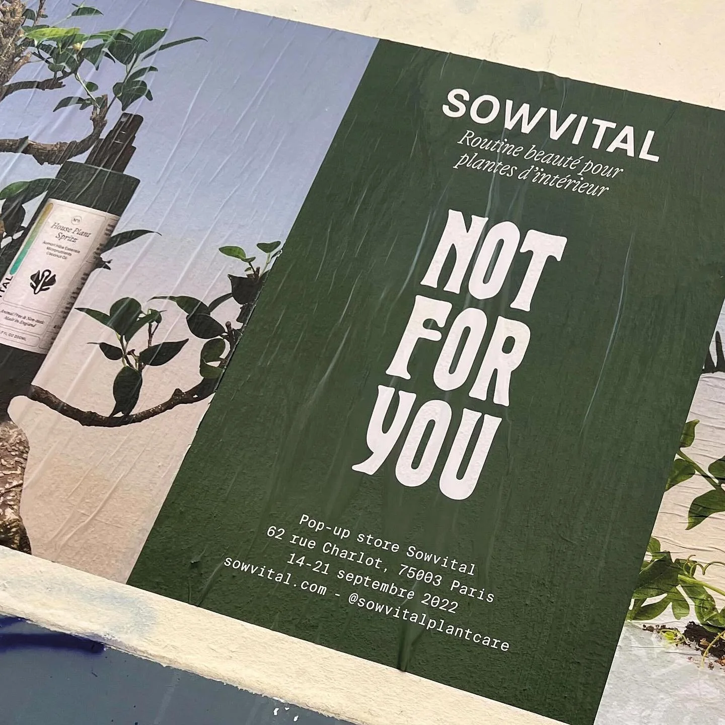 Sowvital Leslie David Studio GJ studio