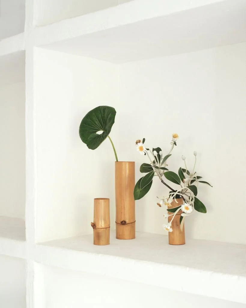 DEBEAULIEU GJstudio