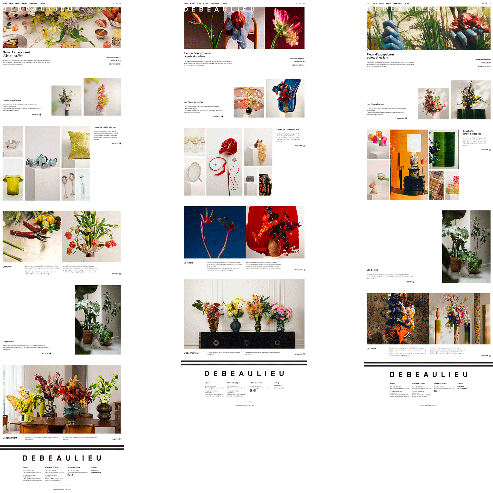 DEBEAULIEU variations site GJstudio