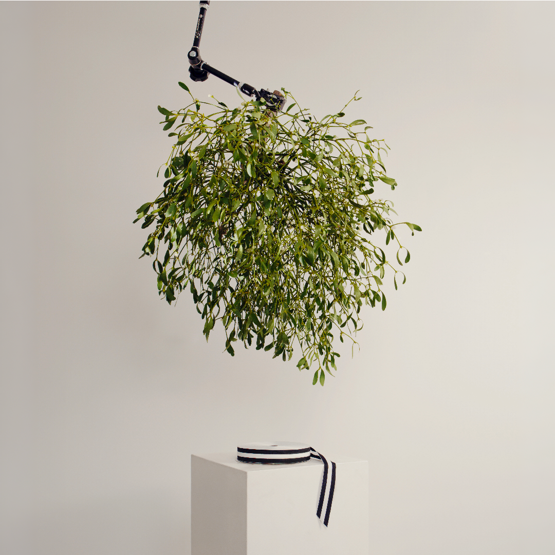 DEBEAULIEU Voeux 2026 GJstudio