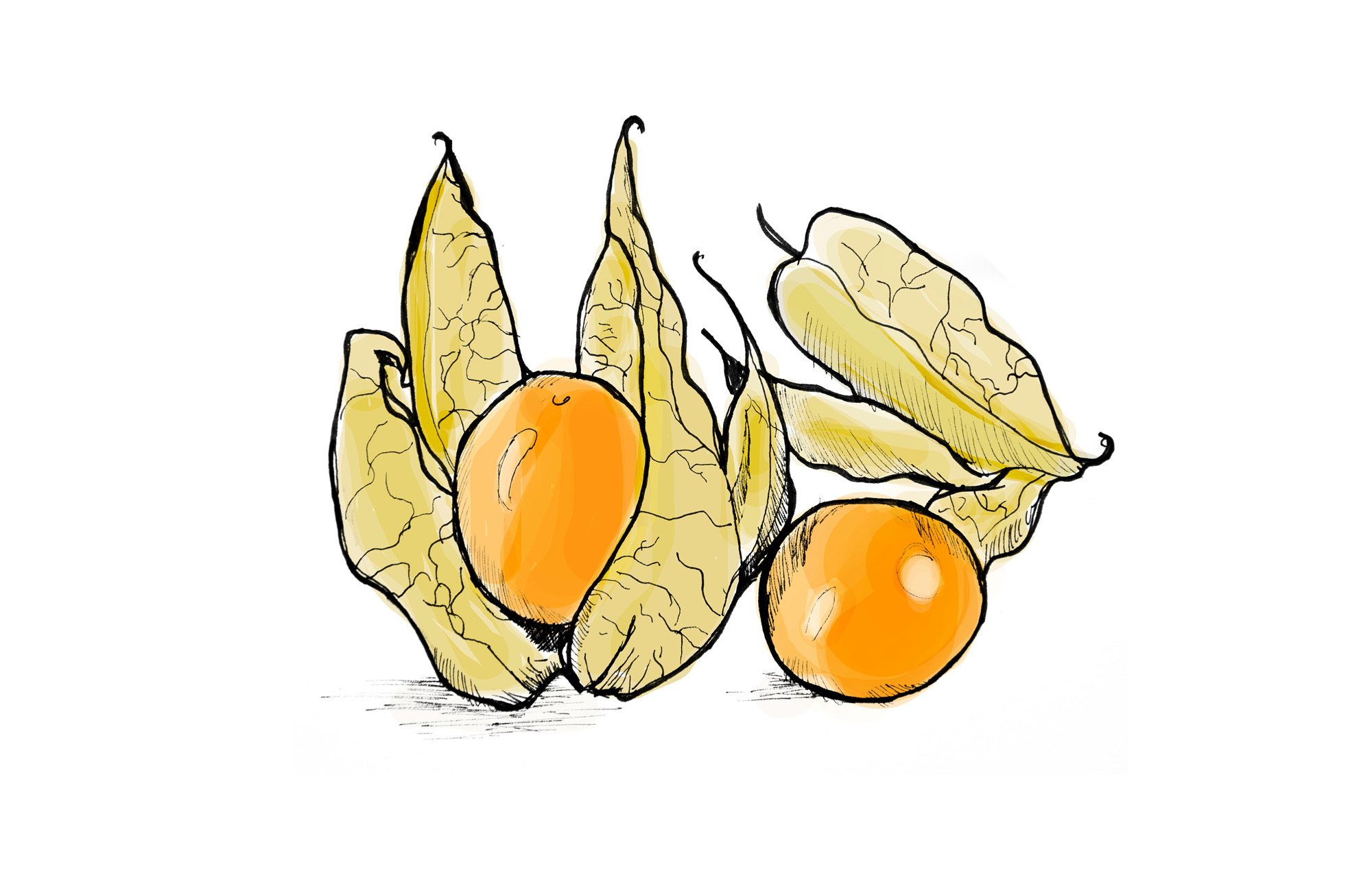 golden-berry.jpg