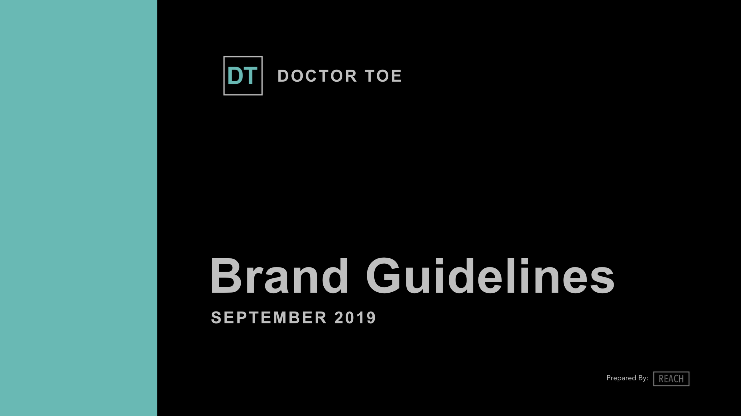 Doctor Toe Brand Guidelines  (dragged).png