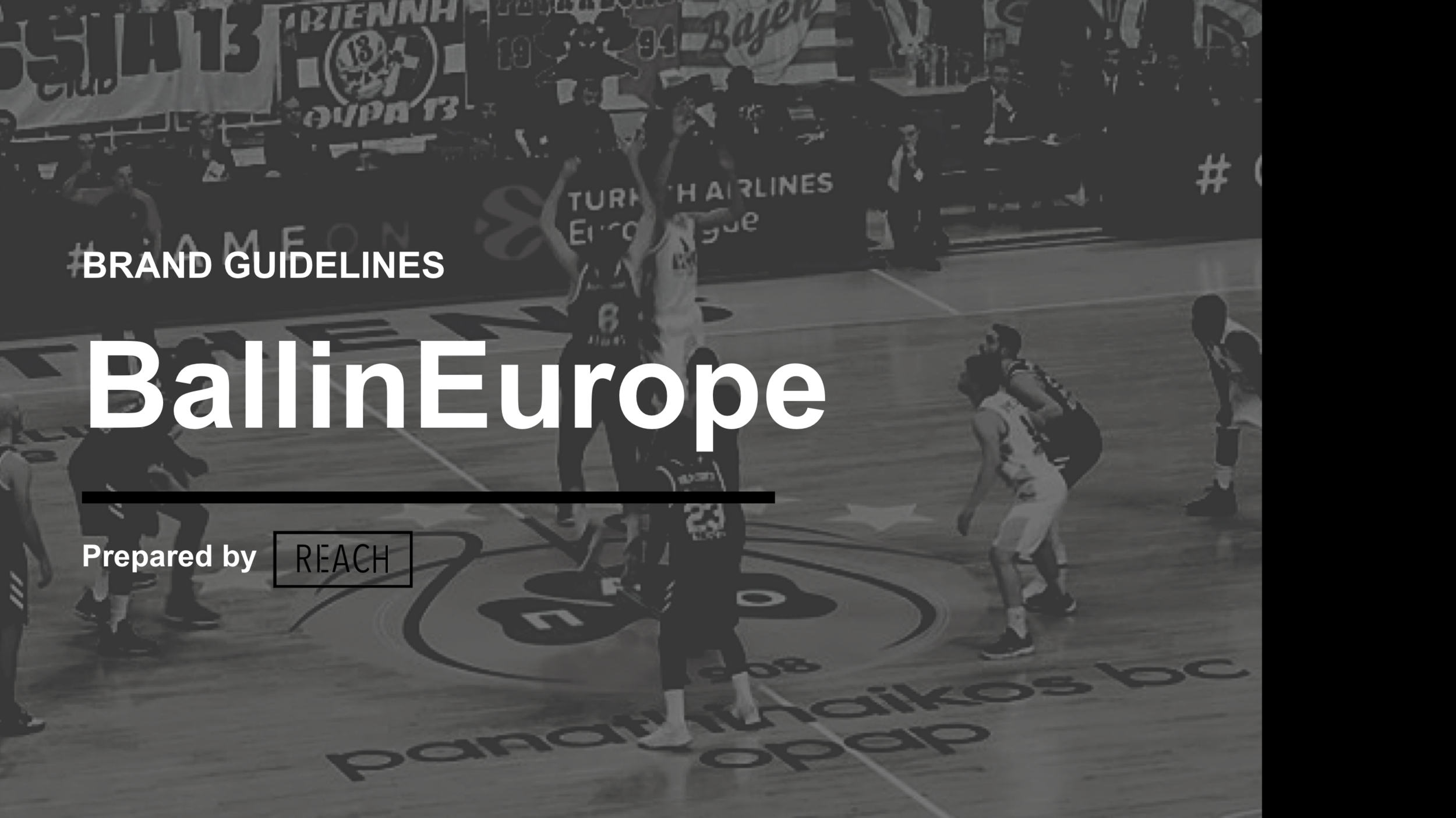 BallinEurope Brand Guidelines (dragged).png