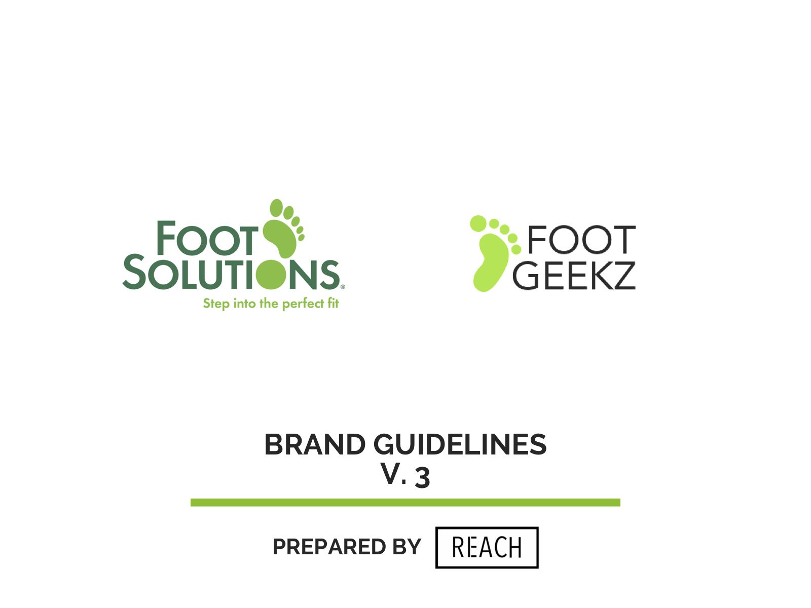 Foot Solutions Brand Guidelines (dragged).png