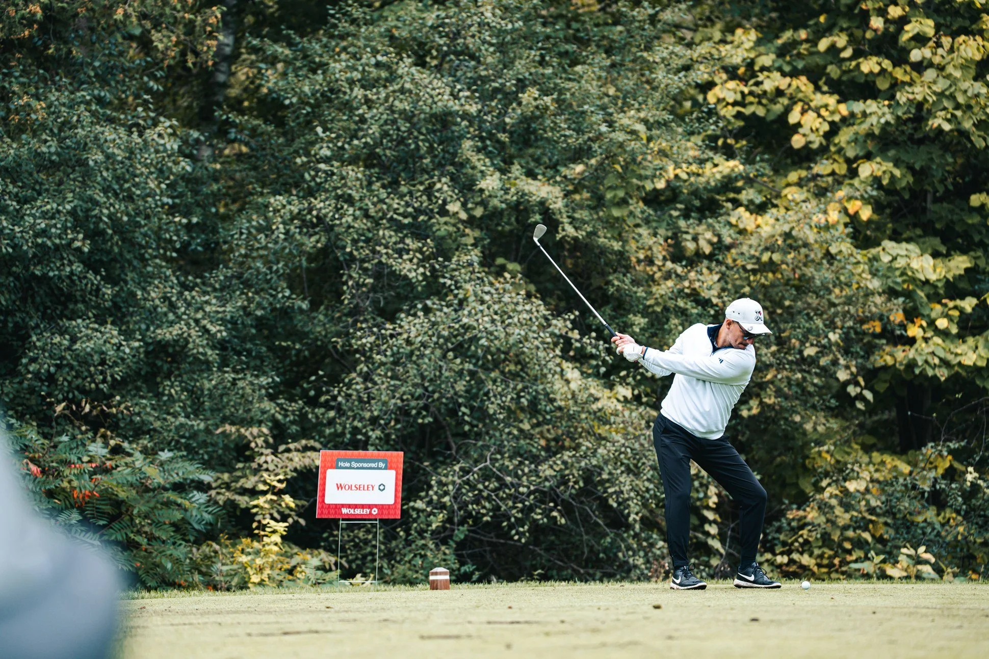 wolseley-tournament-3.jpg