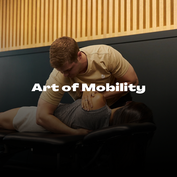 Art of Mobility case study