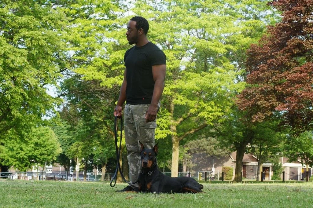 Akeem Norris of Authentic K-9 Dog Training with dogs in a park