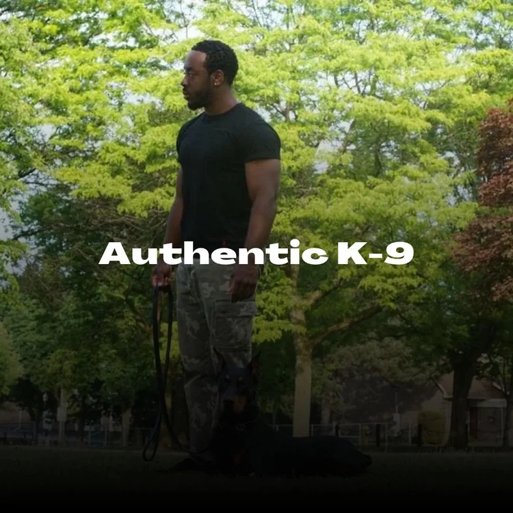 Authentic K-9 case study