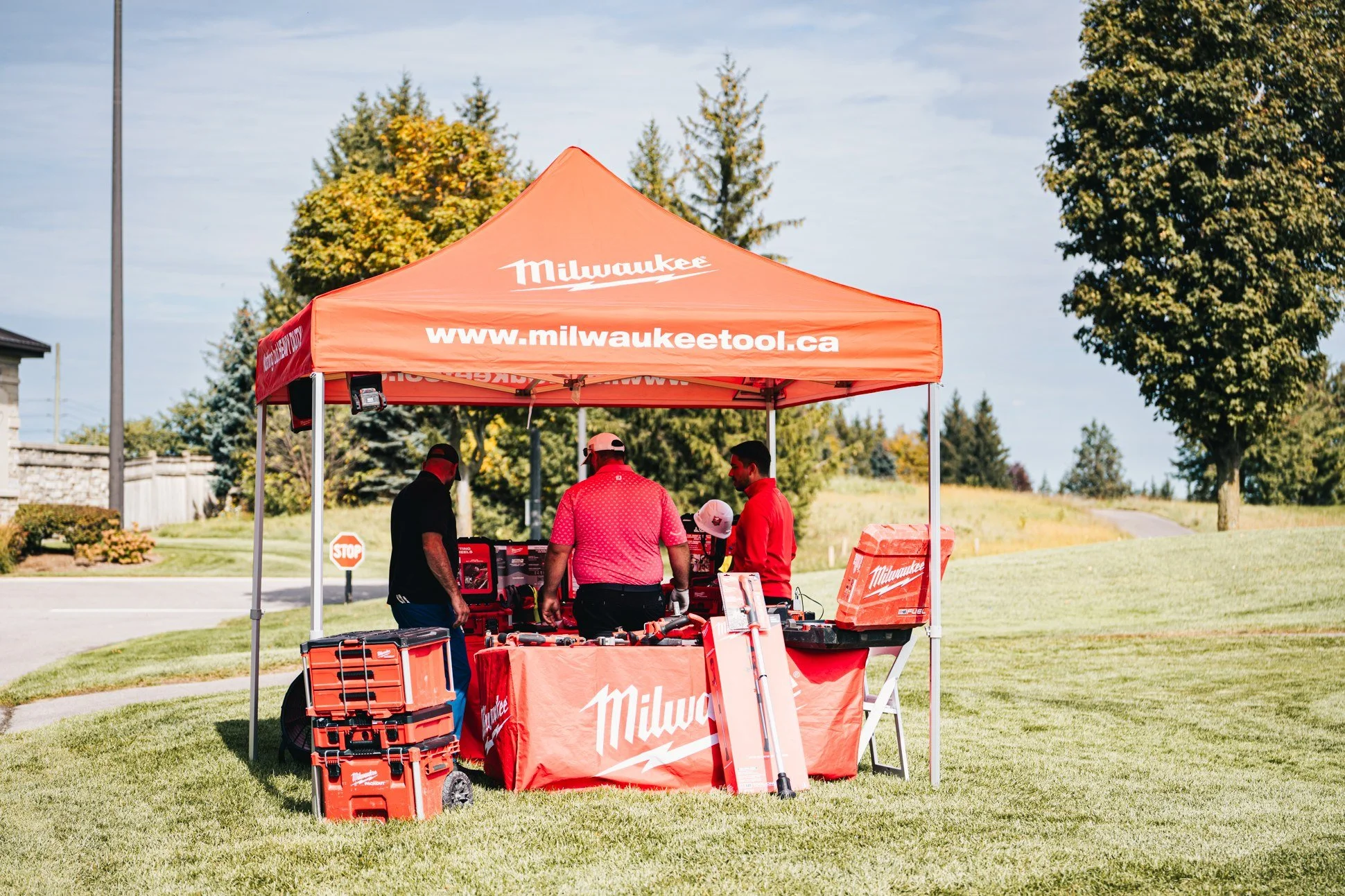 wolseley-tournament-5.jpg